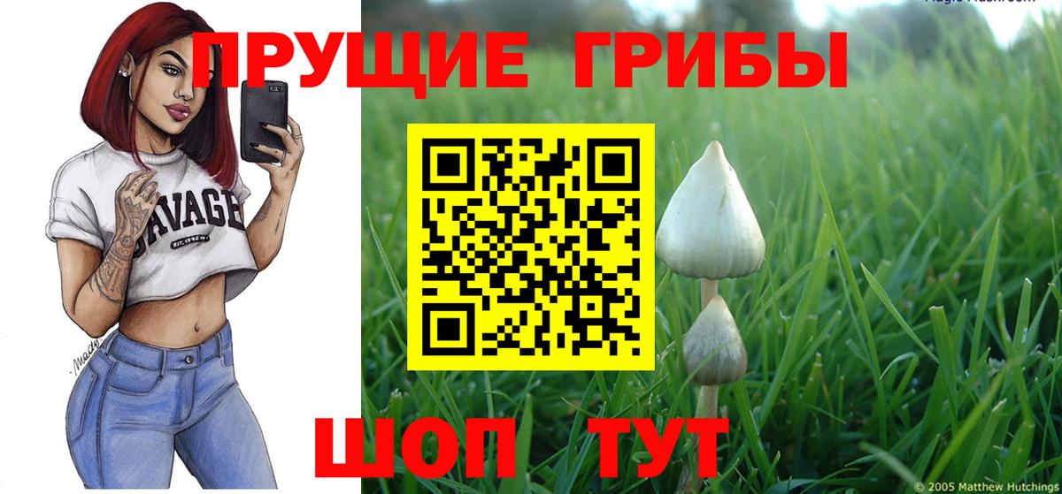 Галлюциногенные грибы Magic Shrooms  Псилоцибиновые грибы прущие грибы  Вход с VPN  Серпухов 